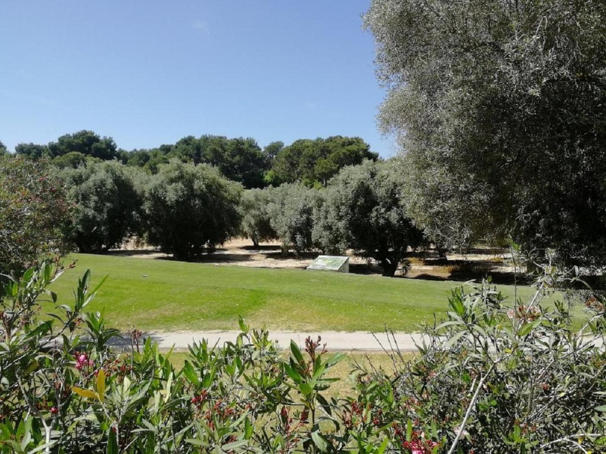 Casa Joleen 1 Villamartin  Dış mekan fotoğraf